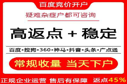 百度竞价入门必看：实操技巧与成功案例